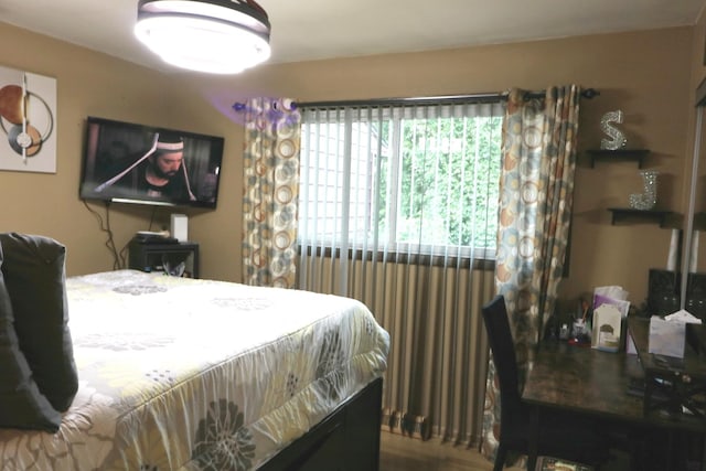 21546 Peterson Ave, Sauk Village, IL 60411 - view of bedroom