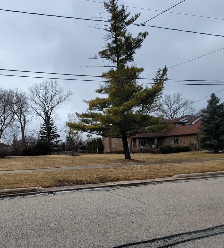 8619 W Park Ln, Niles, IL 60714 - photo 1