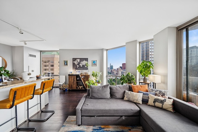 222 N Columbus Dr Unit 3702, Chicago, IL 60601 - living area with a view of skyline, dark wood-style floors, floor to ceiling windows, and track lighting
