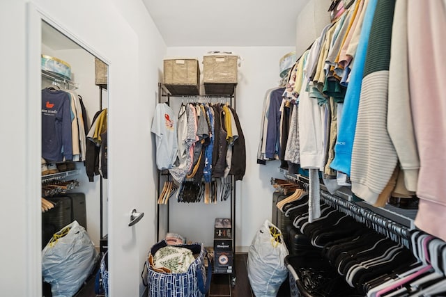 222 N Columbus Dr Unit 3702, Chicago, IL 60601 - view of spacious closet