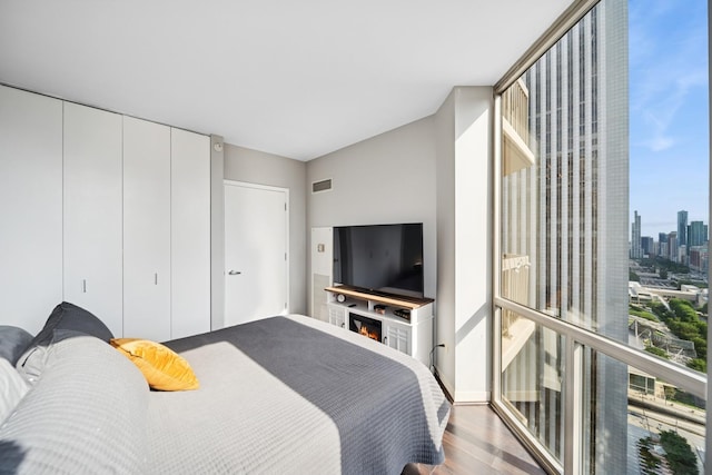 222 N Columbus Dr Unit 3702, Chicago, IL 60601 - bedroom with wood finished floors and a closet