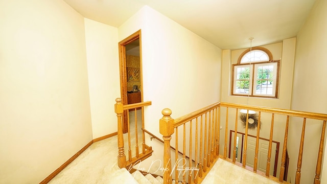 702 Derby Crse, Saint Charles, IL 60174 - photo 13