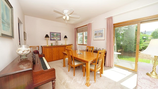 702 Derby Crse, Saint Charles, IL 60174 - photo 7