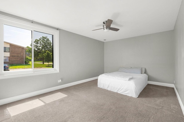 451 Raintree Ct Unit 1C, Glen Ellyn, IL 60137 - photo 10
