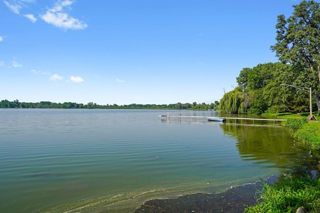 28608 W Parkview Dr, Island Lake, IL 60042 - photo 26