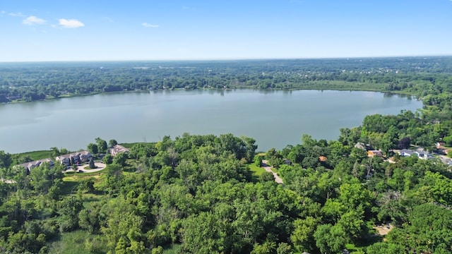 28608 W Parkview Dr, Island Lake, IL 60042 - photo 29