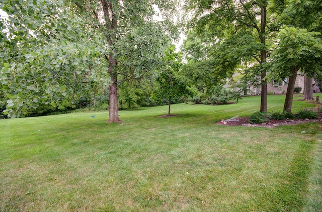 712 Stonebridge Rd, Frankfort, IL 60423 - photo 55