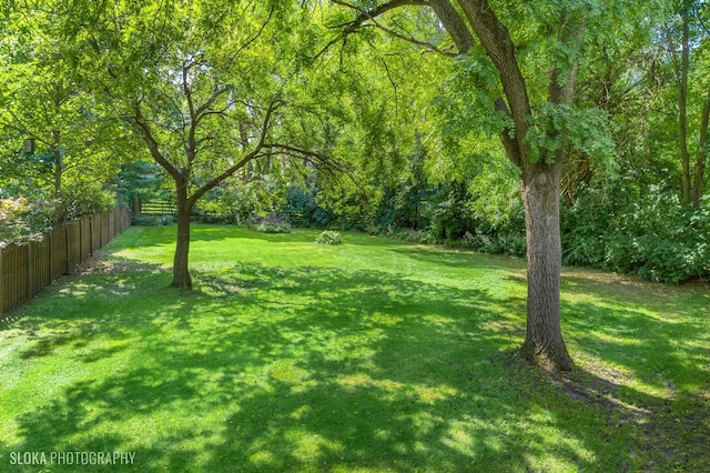 723 N River Rd, Algonquin, IL 60102 - view of yard