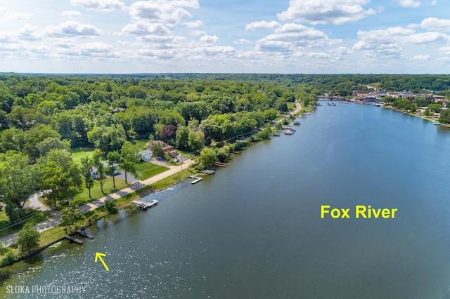 723 N River Rd, Algonquin, IL 60102 - aerial view of a heavily wooded area and a nearby body of water