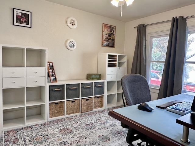 1017 W William St, Champaign, IL 61821 - photo 17