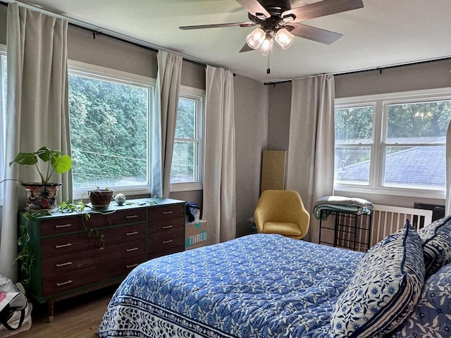 1017 W William St, Champaign, IL 61821 - photo 23