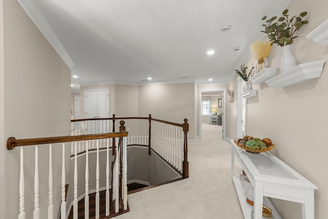 4544 Corktree Rd, Naperville, IL 60564 - photo 18