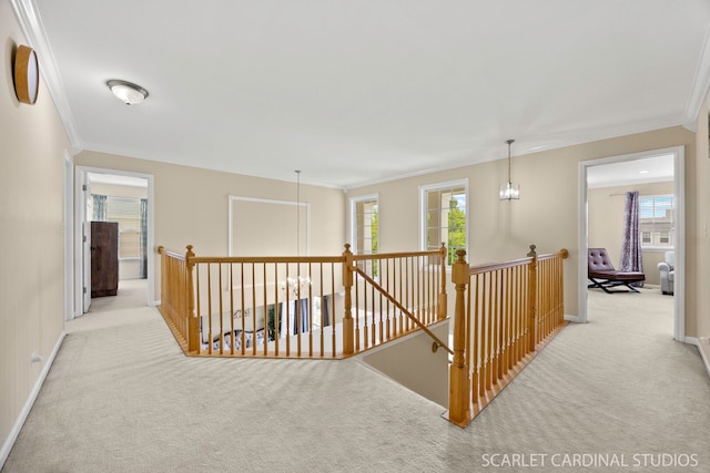 337 Veronica Cir, Bartlett, IL 60103 - photo 18