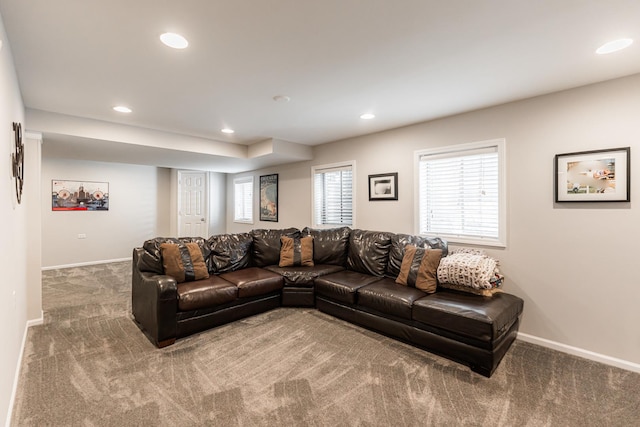 428 Oak Grove Cir, Wauconda, IL 60084 - photo 38