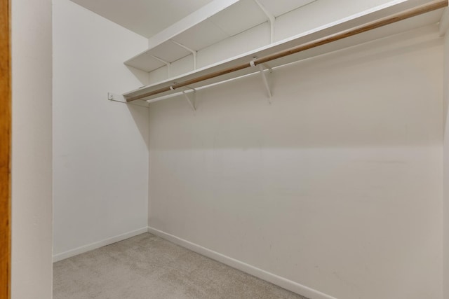 1313 Cass Ln Unit 301, Westmont, IL 60559 - photo 16