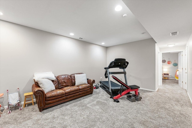202 Westboro Rd, Savoy, IL 61874 - photo 29