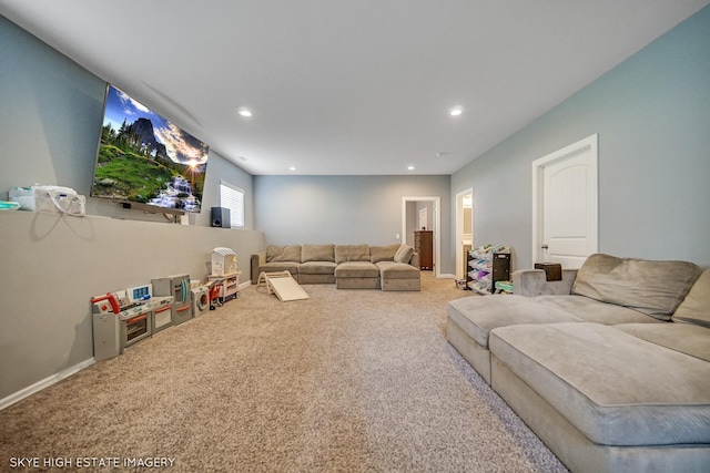 27251 W Deer Hollow Ln, Channahon, IL 60410 - photo 14