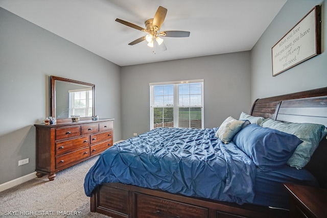 27251 W Deer Hollow Ln, Channahon, IL 60410 - photo 10