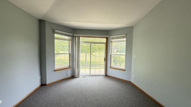 6836 Zurich Ct, Tinley Park, IL 60477 - photo 5