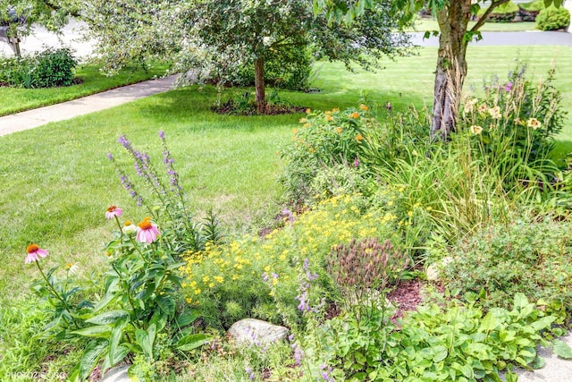 1317 Winslow Cir, Woodstock, IL 60098 - photo 46