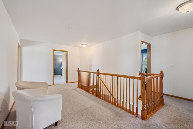 1131 Anderson Rd, Elburn, IL 60119 - photo 17