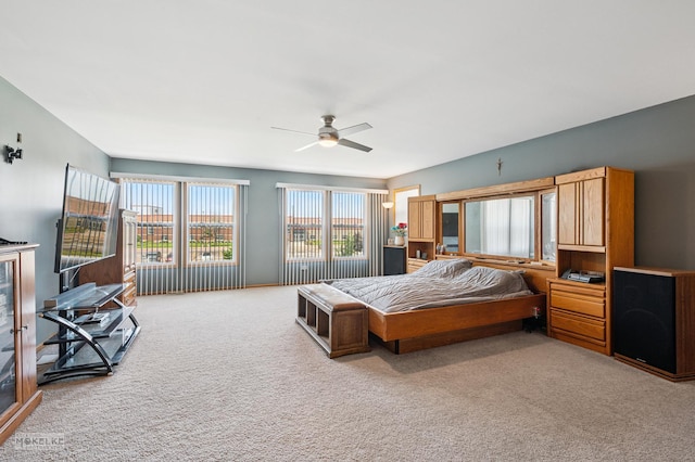 1131 Anderson Rd, Elburn, IL 60119 - photo 18