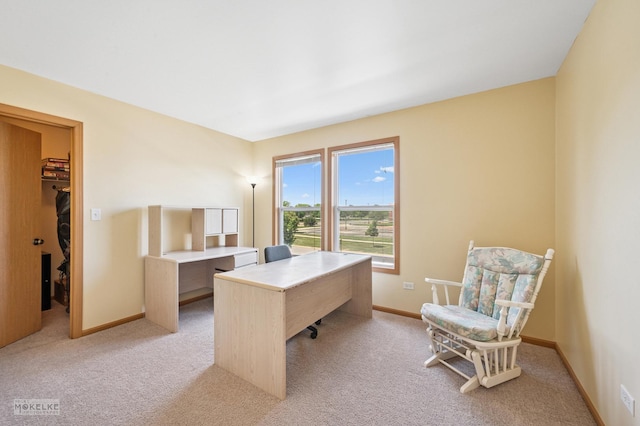 1131 Anderson Rd, Elburn, IL 60119 - photo 22