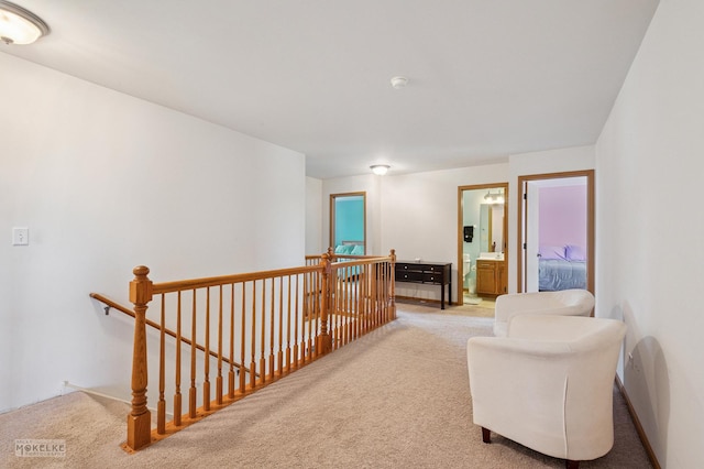 1131 Anderson Rd, Elburn, IL 60119 - photo 23
