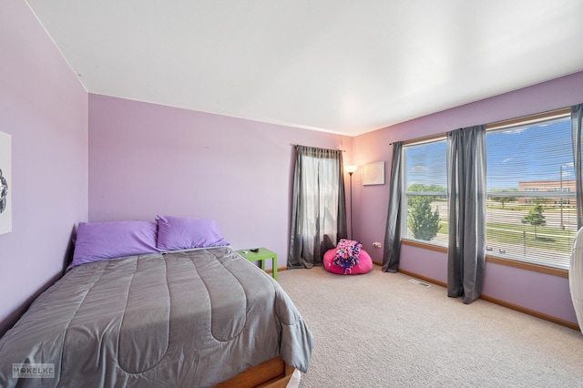 1131 Anderson Rd, Elburn, IL 60119 - photo 24