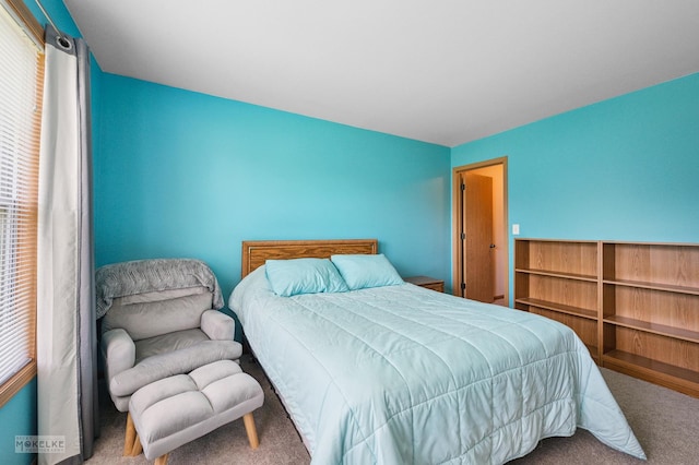 1131 Anderson Rd, Elburn, IL 60119 - photo 28