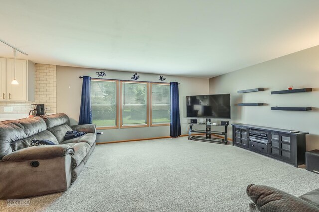 1131 Anderson Rd, Elburn, IL 60119 - photo 10