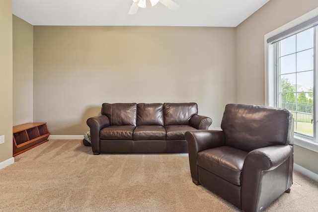 1503 English Oak Dr, Champaign, IL 61822 - photo 18