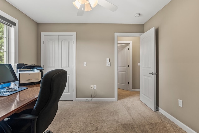 1503 English Oak Dr, Champaign, IL 61822 - photo 31
