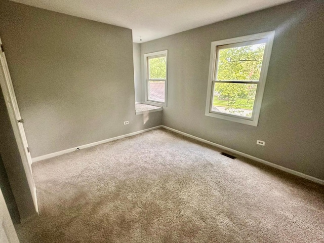 1734 Bishop Way, Mundelein, IL 60060 - empty room with carpet and baseboards