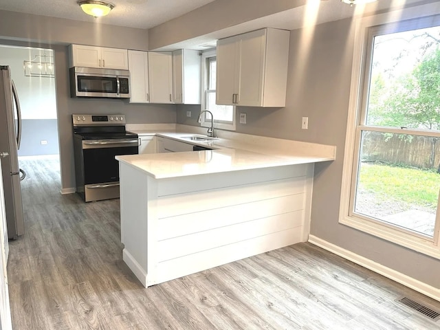 1734 Bishop Way, Mundelein, IL 60060 - kitchen with stainless steel appliances, light countertops, light wood-style flooring, a peninsula, and white cabinetry