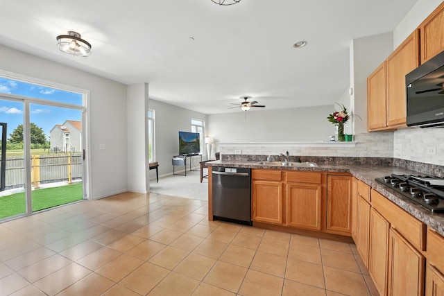 6608 Pasture Side Trl, Matteson, IL 60443 - photo 5