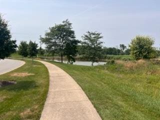 8310 Auburn Ln, Frankfort, IL 60423 - view of property's community featuring a lawn