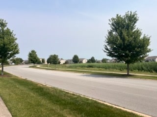 8310 Auburn Ln, Frankfort, IL 60423 - view of asphalt street