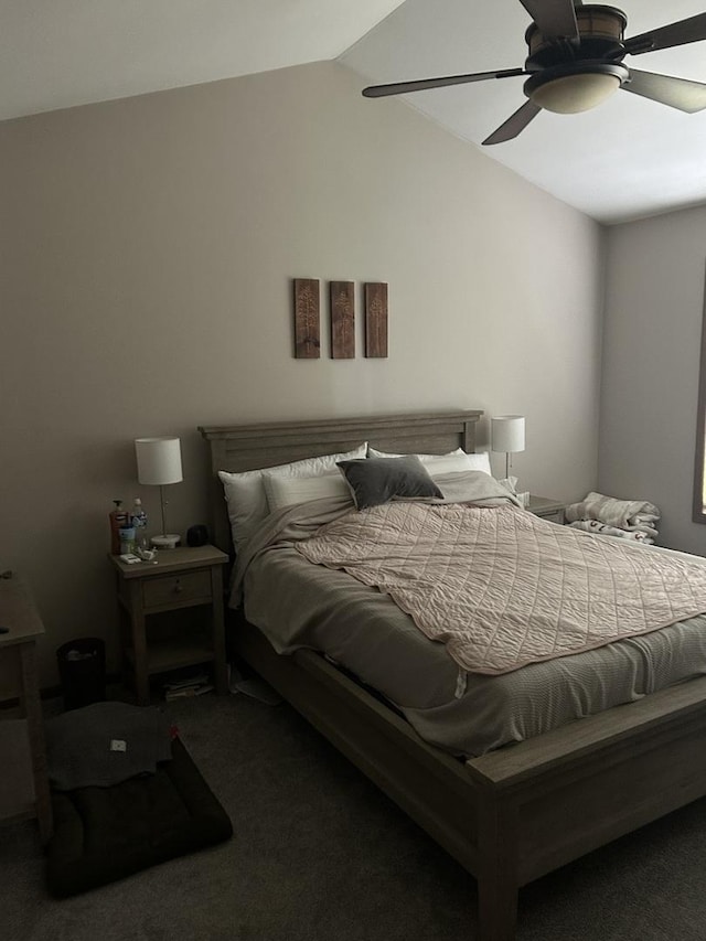 250 Ashbury Ln E Unit 250, Roselle, IL 60172 - photo 7