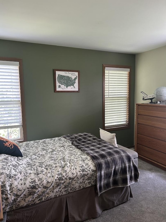 250 Ashbury Ln E Unit 250, Roselle, IL 60172 - photo 8