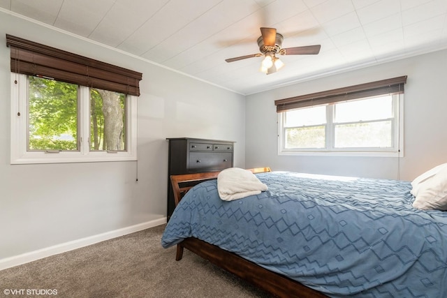 24 Johnathan Rd, Lake Zurich, IL 60047 - photo 8