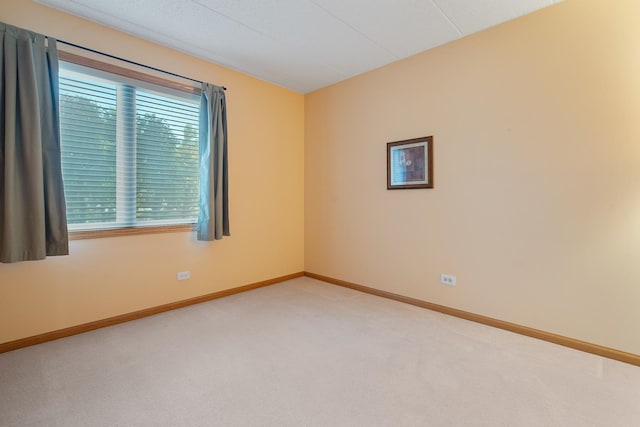 8697 W 111th St Unit 2D, Palos Hills, IL 60465 - photo 19