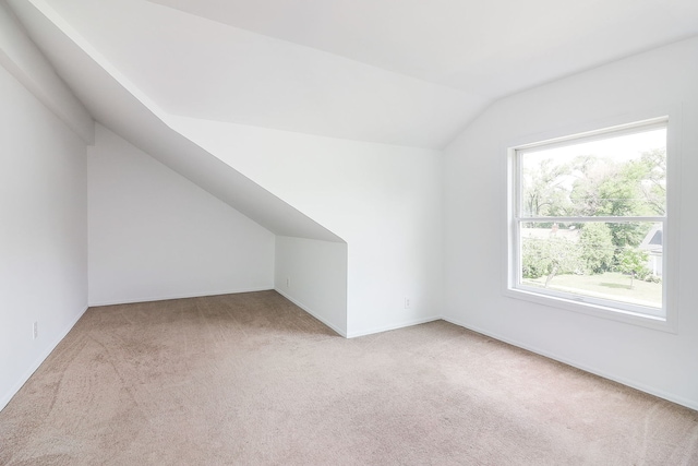 818 E Indiana St, Wheaton, IL 60187 - photo 15