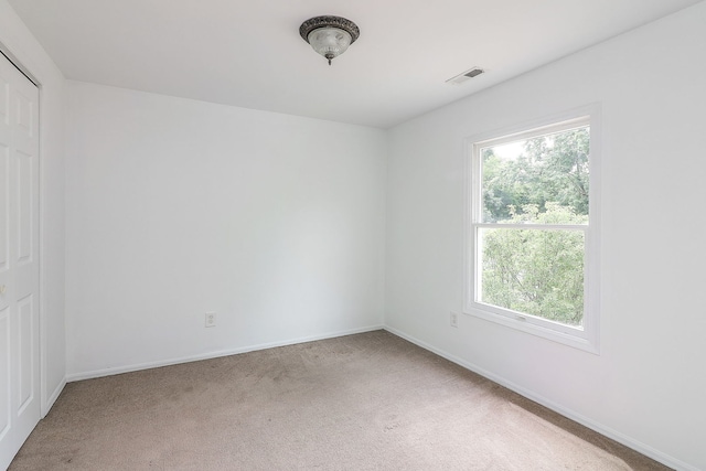 818 E Indiana St, Wheaton, IL 60187 - photo 21