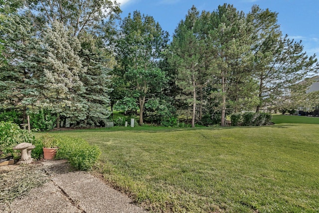 16601 S Windsor Ln Unit 0, Lockport, IL 60441 - photo 32