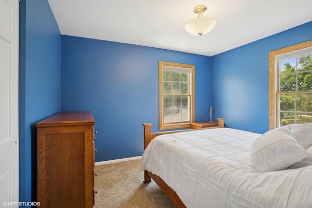 523 N Ela Rd, Barrington, IL 60010 - carpeted bedroom featuring baseboards