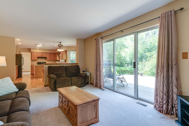 574 Meadowview Dr, Wauconda, IL 60084 - photo 9