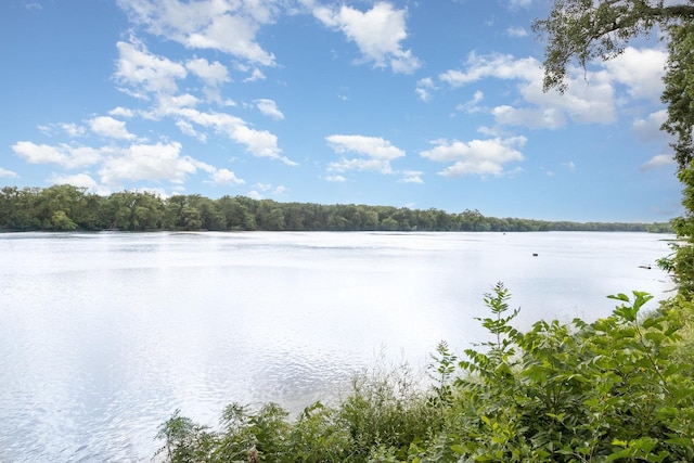 1953 Lakewood Dr, Wilmington, IL 60481 - photo 22