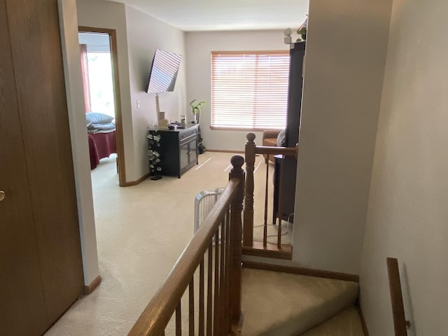 1045 Manchester Cir, Grayslake, IL 60030 - photo 20