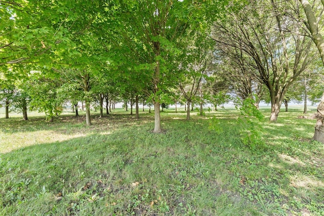 3035 County Road 1500 E, Rantoul, IL 61866 - photo 2